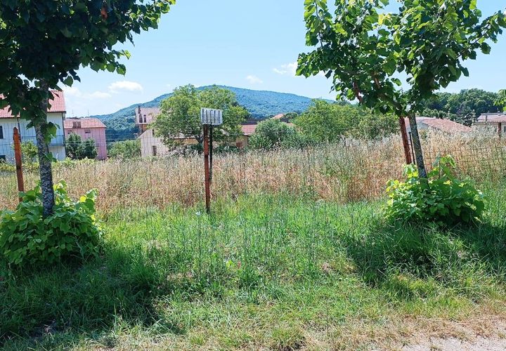 Terra a Palmoli, Chieti, Palmoli - € 18.000 | Ref: TE18 - foto 1