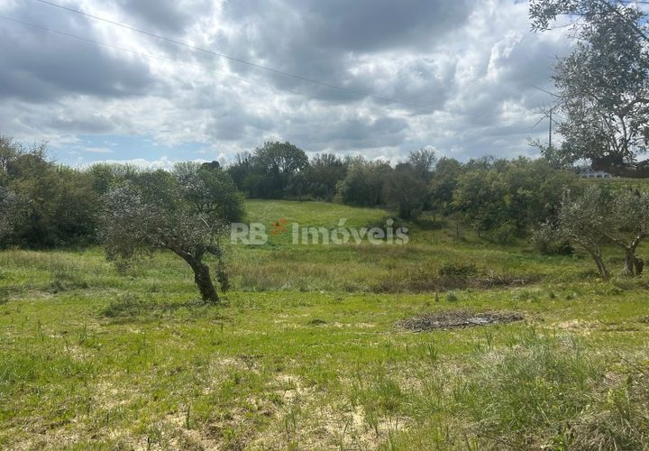 Helårsgrund i Tomar, Santarem, Tomar - € 95.000 | Ref: 01494-25 - foto 1