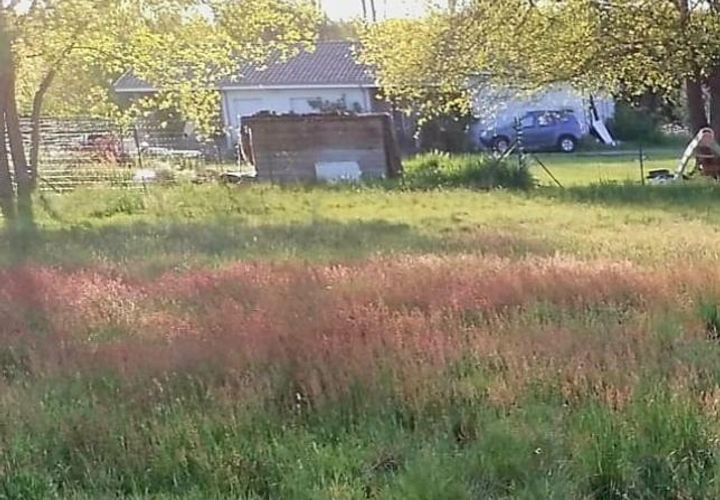 Terra a Ares, Gironde, Ares - € 325.200 | Ref: ABARES202 - foto 1