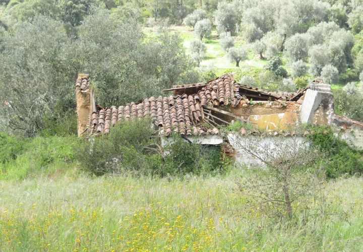 Granja a Abrantes, Santarem, Abrantes - € 340.000 | Ref: P24-220 - foto 1