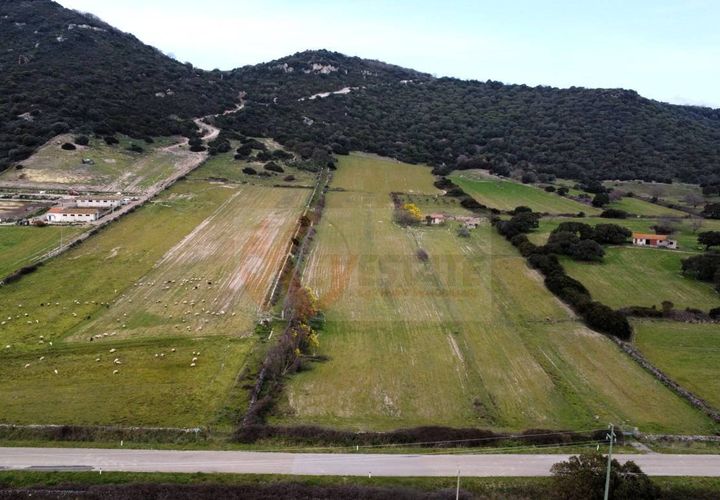 Terra a Siligo, Sassari, Siligo - € 45.000 | Ref: 13709 - foto 1
