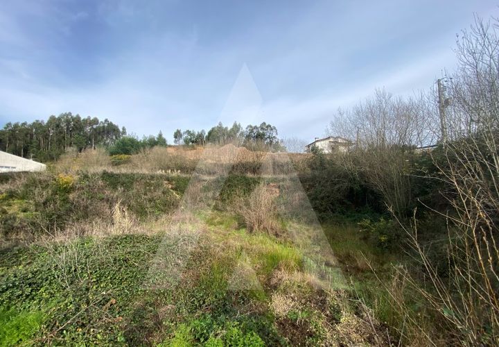 Helårsgrund i Agueda, Aveiro, Agueda - € 29.000 | Ref: 1012239/25 GL - foto 1