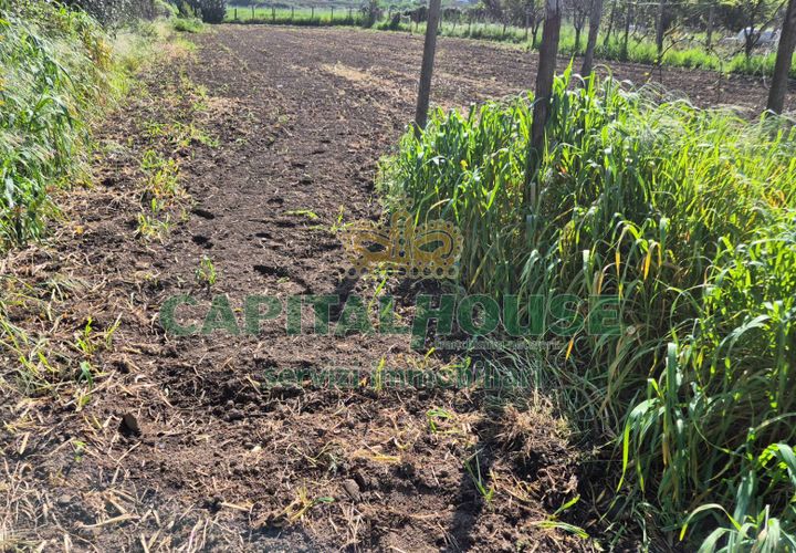 Terra a Recale, Caserta, Recale - € 54.000 | Ref: 54RE27 - foto 1