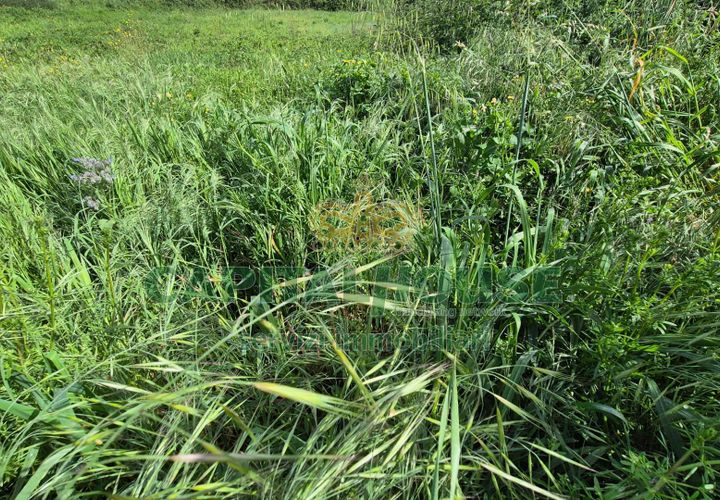 Terra a Recale, Caserta, Recale - € 32.000 | Ref: 32RE28 - foto 1