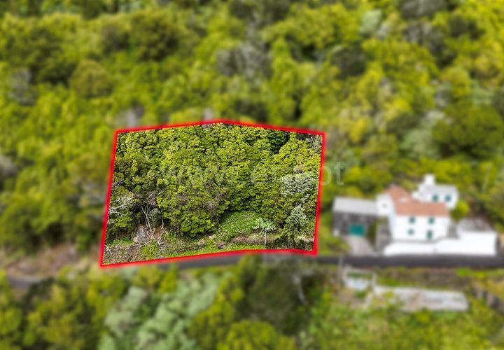 Helårsgrund i Lajes do Pico, Pico, Lajes do Pico - € 19.000 | Ref: 374240193 - foto 1