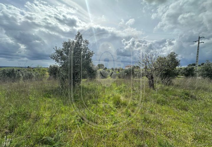 Helårsgrund i Tomar, Santarem, Tomar - € 200.000 | Ref: CCD_600 - foto 1