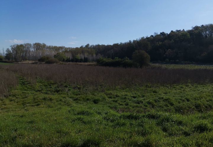 Terra a Bientina, Pisa, Bientina - € 19.000 | Ref: PI202221 - foto 1