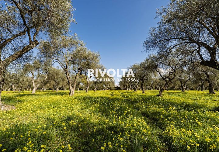 Tomt i Alghero, Sassari, Alghero - € 220 000 | Ref: ZV Fangal - foto 1