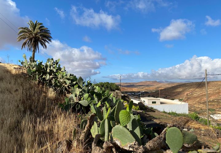 Terra a Teguise, Lanzarote, Teguise - € 160.000 | Ref: LVP1 - foto 1