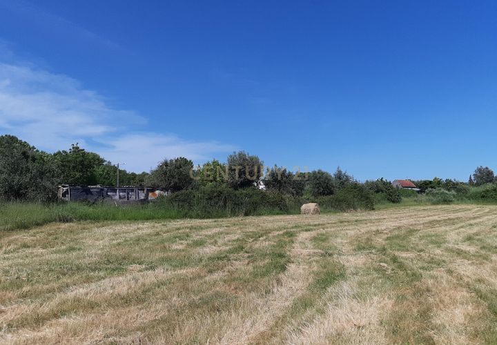 Helårsgrund i Nelas, Viseu, Nelas - € 60.000 | Ref: C0203-01961 - foto 1