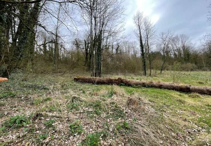 Terra a Jussey, Haute-Saone, Jussey - € 22.000 | Ref: 2013602 - foto 1