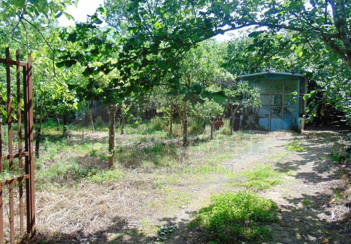 Terra a Baiano, Avellino, Baiano - € 15.000 | Ref: 190267 - foto 1