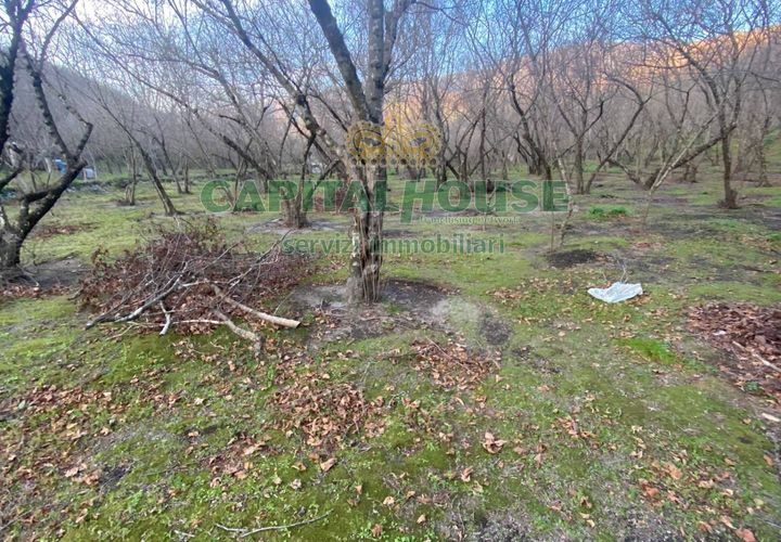 Helårsgrund i Avella, Avellino, Avella - € 25.000 | Ref: 459393 - foto 1