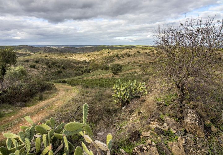 Helårsgrund i Castro Marim, Faro, Castro Marim - € 25.000 | Ref: 216180398 - foto 1