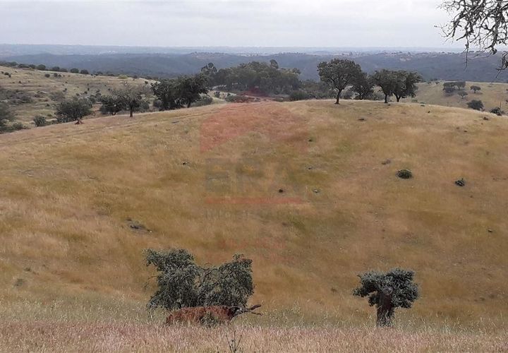Villa i Beja, Beja, Beja - € 750.000 | Ref: 216190421 - foto 1