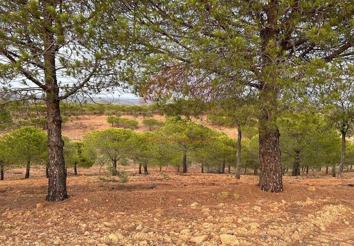 Helårsgrund i Castro Marim, Faro, Castro Marim - € 65.000 | Ref: 216230131 - foto 1