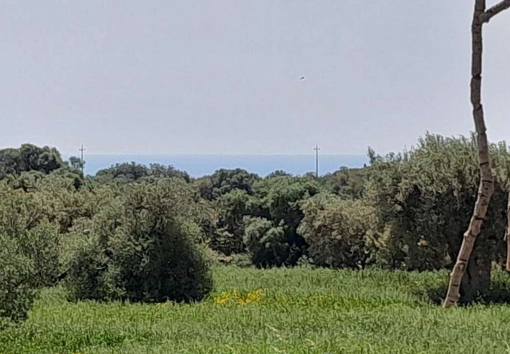Landejendom i Scicli, Ragusa, Scicli - € 115.000 | Ref: RP-485326-485326 - foto 1