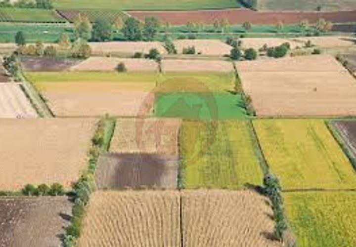 Terra a Vigonza, Padua, Vigonza - € 230.000 | Ref: T19 - foto 1