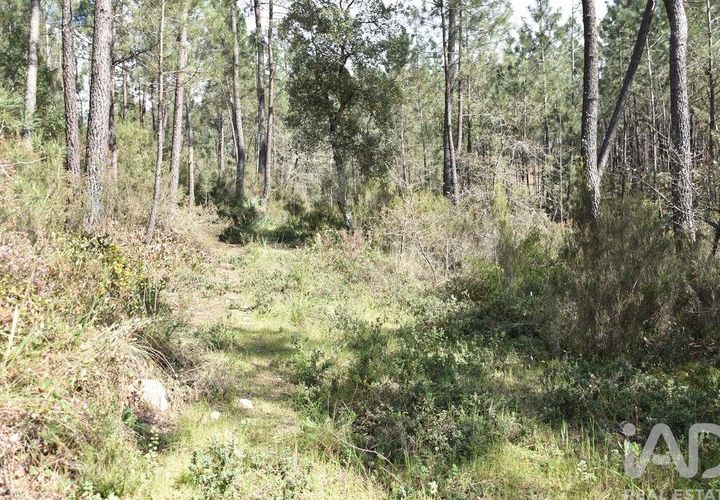 Helårsgrund i Ourem, Santarem, Ourem - € 9.900 | Ref: 140766 - foto 1