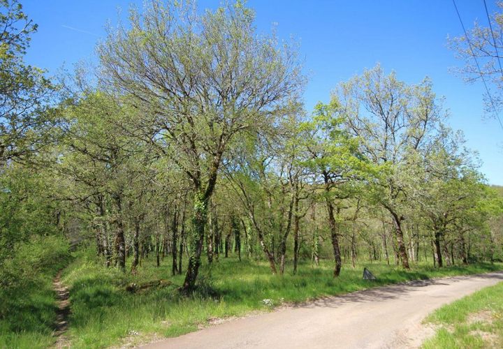 Helårsgrund i Monteils, Aveyron, Monteils - € 13.000 | Ref: 3192 - foto 1