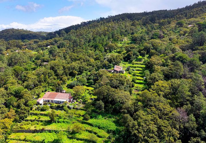 Farm hus i Monchique, Faro, Monchique - € 250.000 | Ref: TS007 MO - foto 1