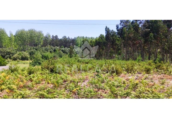 Helårsgrund i Monte Real, Leiria, Monte Real - € 29.500 | Ref: TER_107 - foto 1