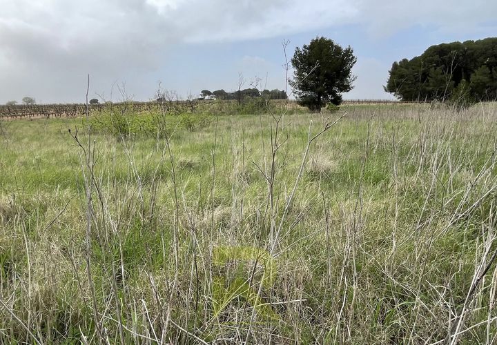 Helårsgrund i Servian, Herault, Servian - € 48.000 | Ref: 345515686 - foto 1