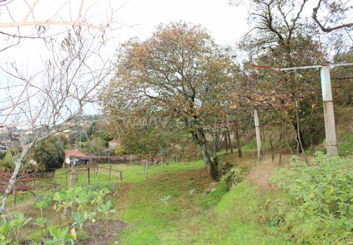 Helårsgrund i Barcelos, Braga, Barcelos - € 155.000 | Ref: 254250122 - foto 1