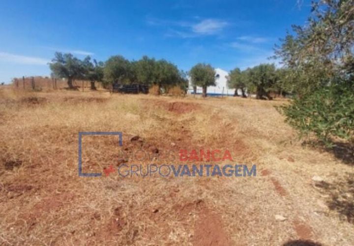 Helårsgrund i Alandroal, Evora, Alandroal - € 6.000 | Ref: T-28716 - foto 1