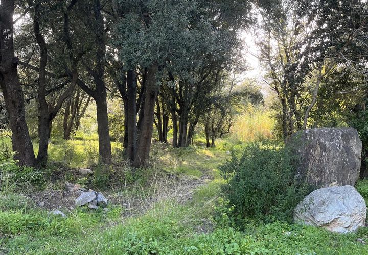 Helårsgrund i Barbaggio, Haute-Corse, Barbaggio - € 220.000 | Ref: 2153 - foto 1