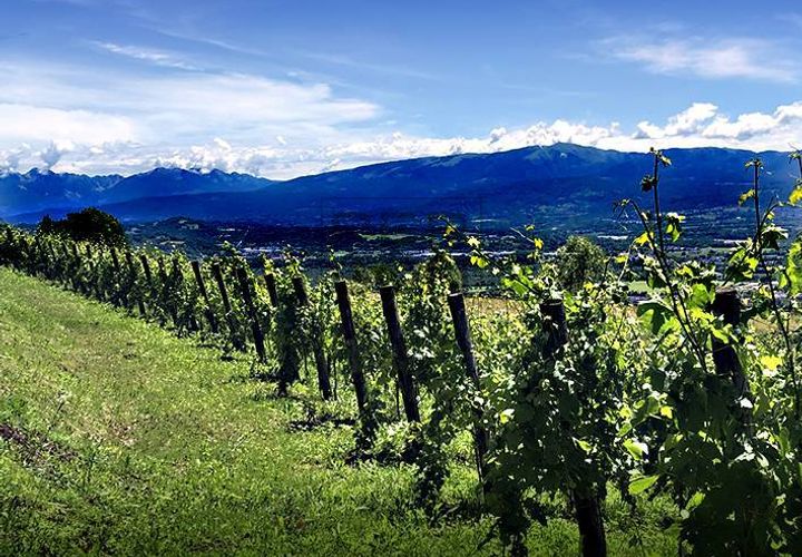 Helårsgrund i Lavis, Trento, Lavis - € 850.000 | Ref: A-TE-005 - foto 1