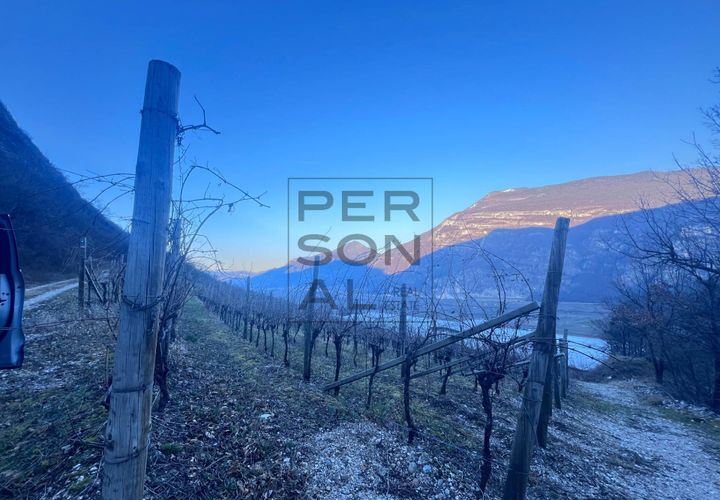 Terra a Aldeno, Trento, Aldeno - € 150.000 | Ref: MC-067 - foto 1