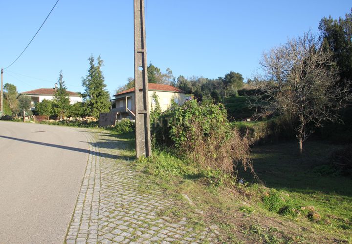 Terra a Condeixa-a-Nova, Coimbra, Condeixa-a-Nova - € 25.900 | Ref: C0444-00643 - foto 1