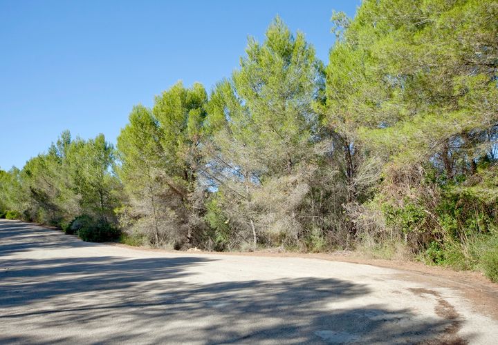 Helårsgrund i Son Vida, Mallorca, Son Vida - € 2.000.000 | Ref: 51028 - foto 1