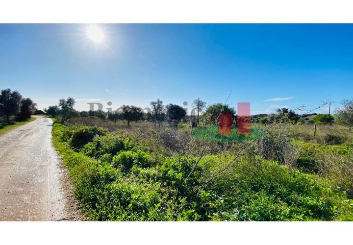 Terra a Assentiz, Santarem, Assentiz - € 10.000 | Ref: 131.25 - foto 1