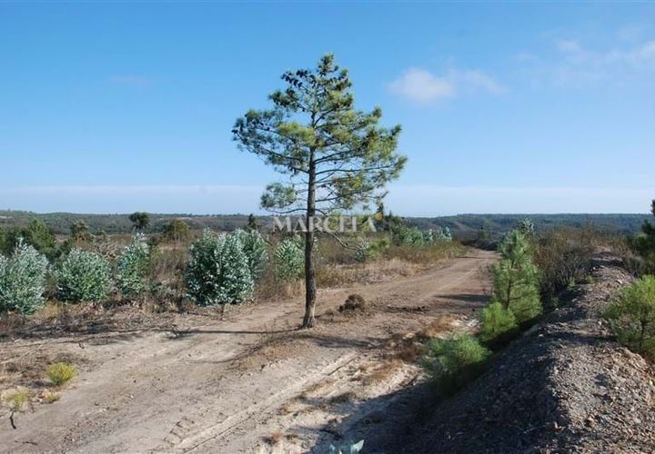 Helårsgrund i Sagres, Faro, Sagres - € 160.000 | Ref: RC142 - foto 1
