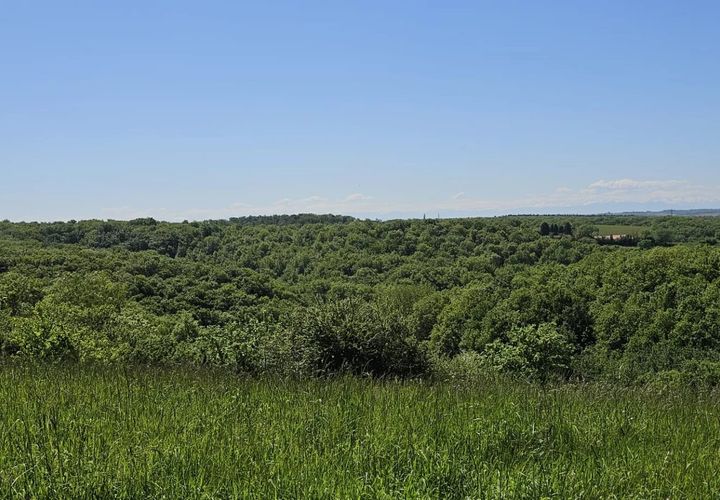 Terra a Ordan-Larroque, Gers, Ordan-Larroque - € 39.500 | Ref: 85898713 - foto 1