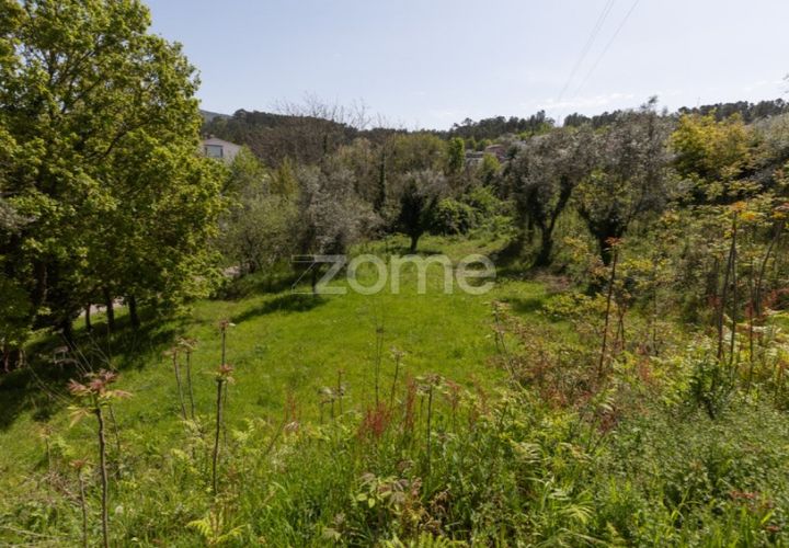 Helårsgrund i Arganil, Coimbra, Arganil - € 39.900 | Ref: ZMPT576414 - foto 1