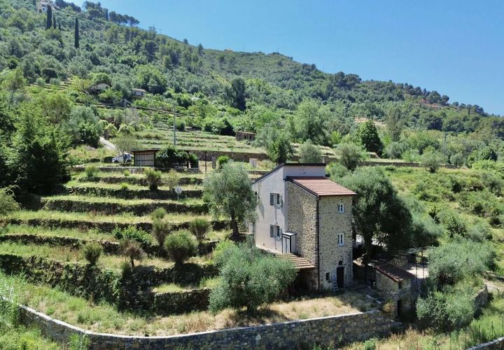 Villa i Vallebona, Imperia, Vallebona - € 495.000 | Ref: D436-486230 - foto 1
