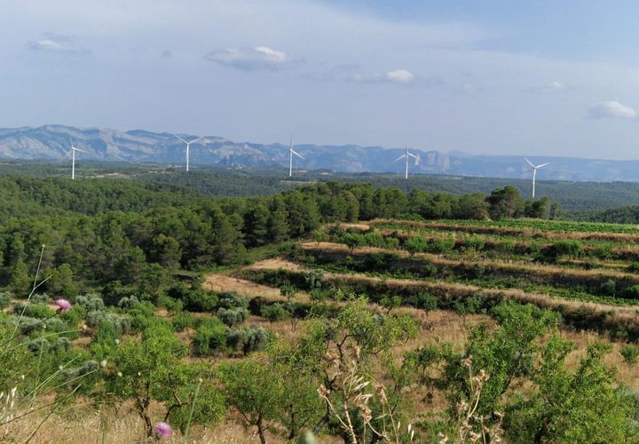 Grond in Caseres, Tarragona, Caseres - € 54.500 | Ref: EXP09782/8930 - foto 1