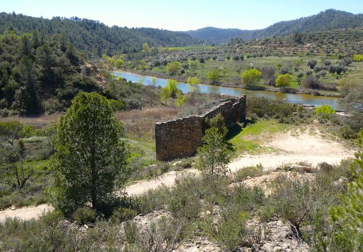 Finca a Caseres, Tarragona, Caseres - € 29.500 | Ref: 1050 - foto 1