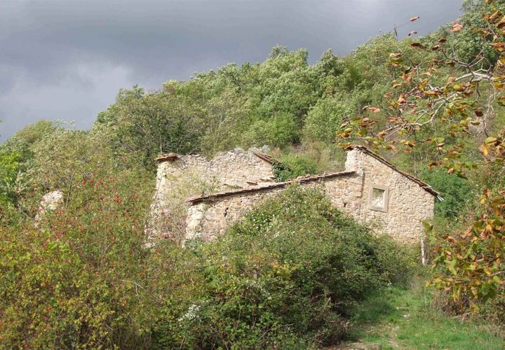 Farm hus i Dicomano, Florence, Dicomano - € 70.000 | Ref: 0411-3 - foto 1