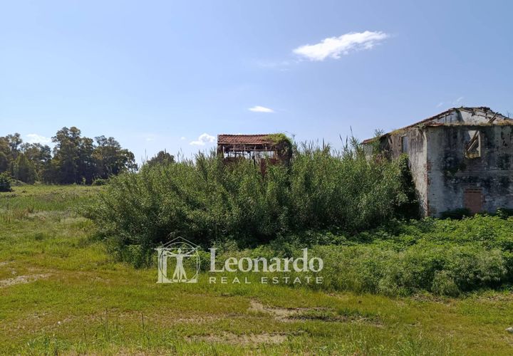 Villa i Massarosa, Lucca, Massarosa - € 170.000 | Ref: M423 - foto 1