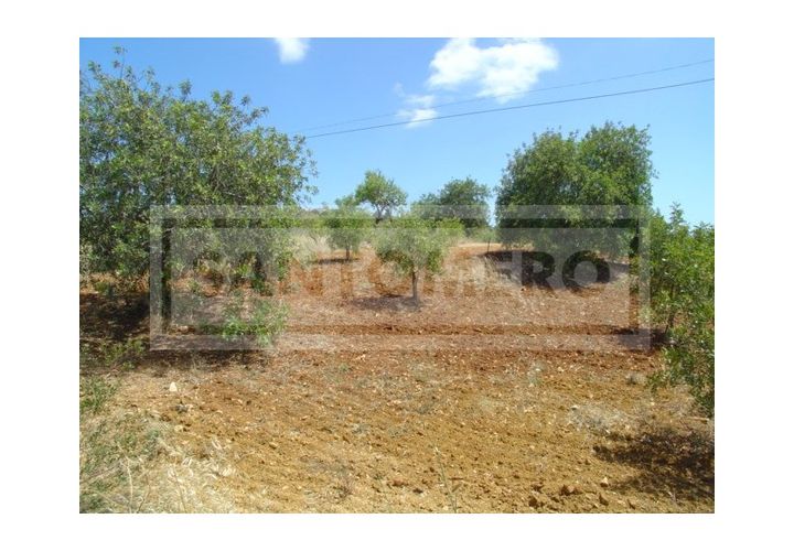 Terra a Guia, Faro, Guia - € 150.000 | Ref: 917 - foto 1