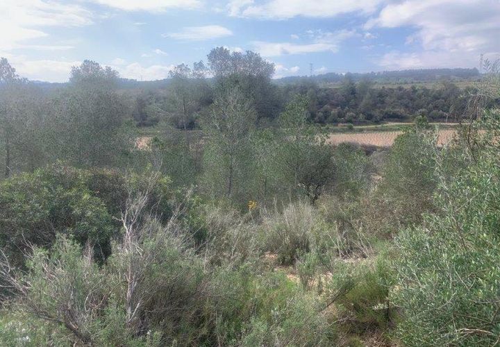 Terra a Garcia, Tarragona, Garcia - € 5.000 | Ref: Gar4011mon - foto 1