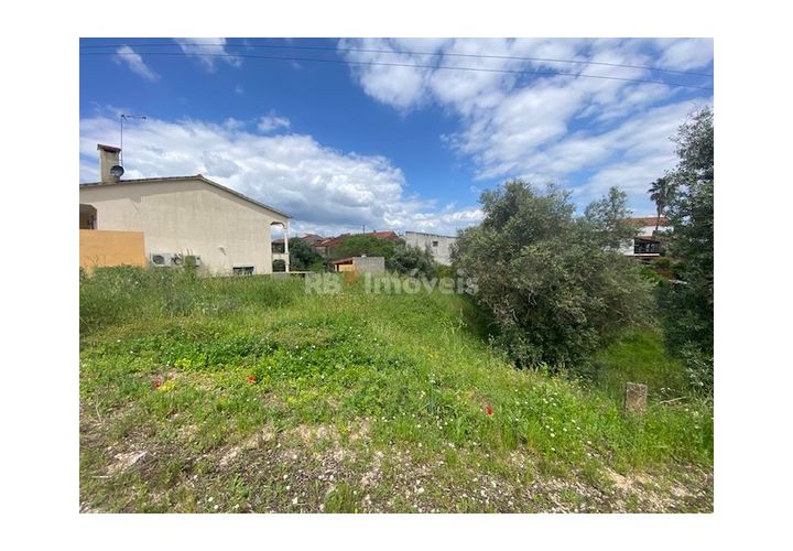 Helårsgrund i Tomar, Santarem, Tomar - € 45.000 | Ref: 01493-25 - foto 1