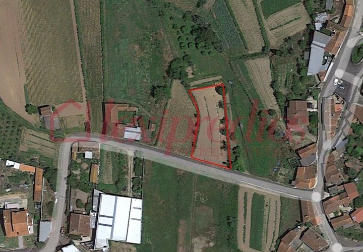 Helårsgrund i Agueda, Aveiro, Agueda - € 21.500 | Ref: AG 4278 - foto 1