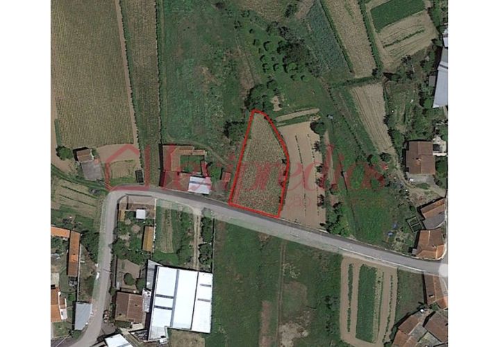 Helårsgrund i Agueda, Aveiro, Agueda - € 21.000 | Ref: AG 4279 - foto 1