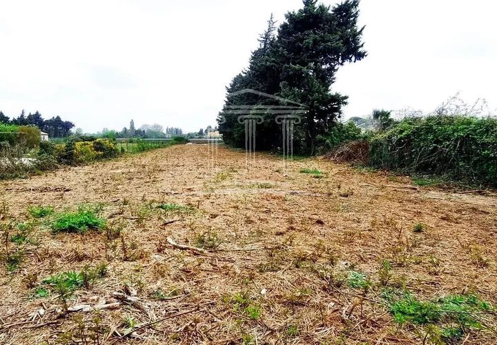 Terra a Jonquerettes, Vaucluse, Jonquerettes - € 218.000 | Ref: 8475 - foto 1