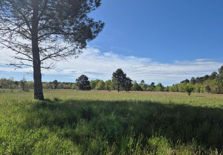 Terra a Lugos, Gironde, Lugos - € 150.000 | Ref: SF-150-LUG - foto 1